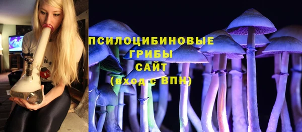 Альфа ПВП Абдулино